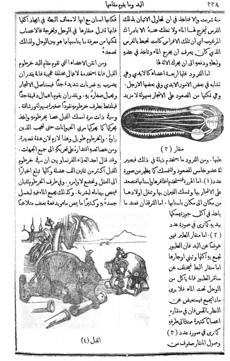 1874_Al-Jinan copy_387